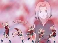 Descriere - Sakura Haruno - -Face parte din echipa a saptea - SAKURA HARUNO